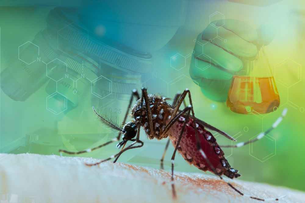 Febbre Dengue, conosci il nuovo virus? Il corso ECM gratuito