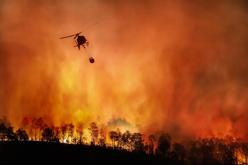 Arriva l’estate, la risposta UE all’allarme incendi boschivi
