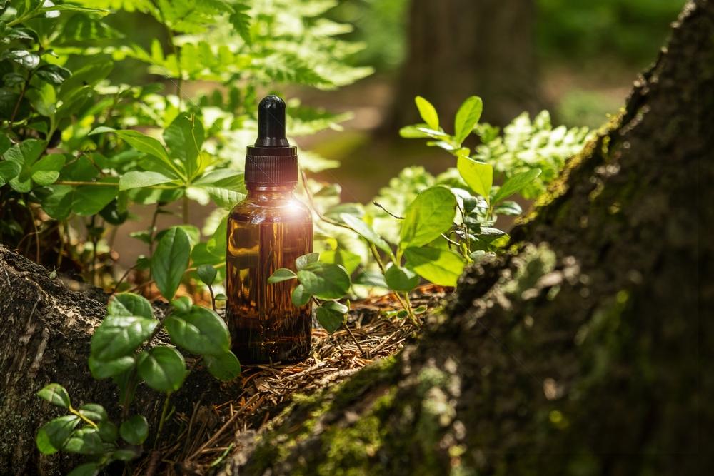 Collagene: l’ingrediente preferito della skin care pesa sulle foreste sudamericane