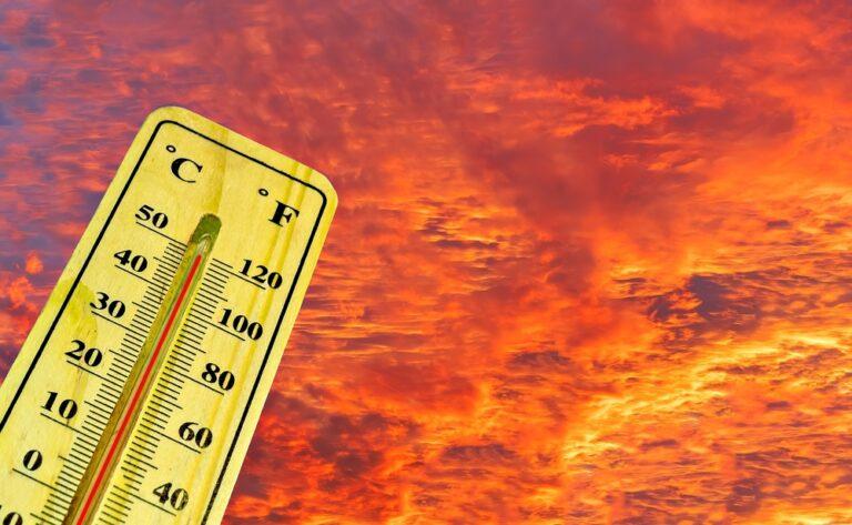 Estate 2025: 16.500 morti in Europa per il caldo estremo