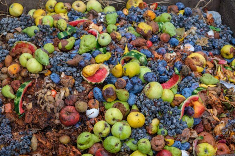 Spreco alimentare: 100 kg e 378 euro persi ogni anno